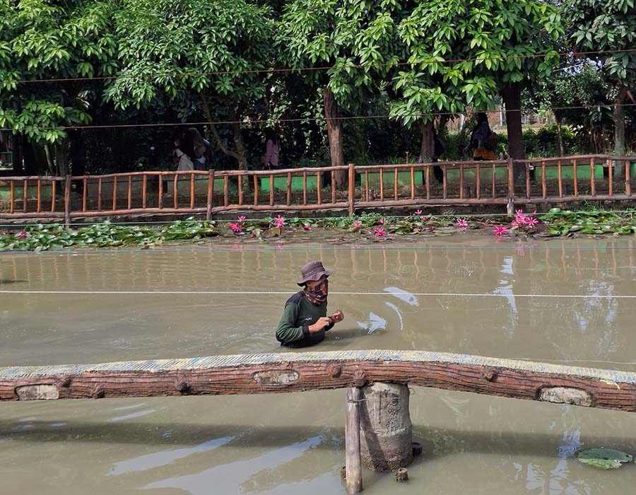 Aktivitas edukasi di kolam dangkal