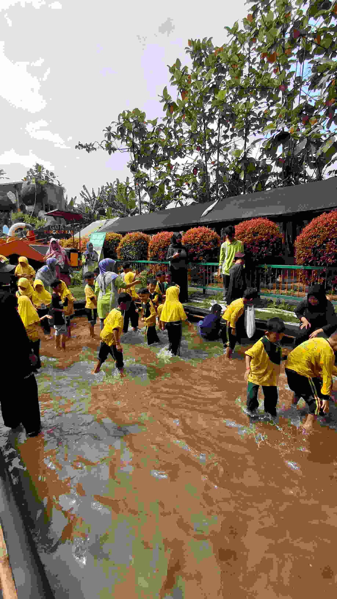 Kegiatan edukasi alam bersama anak-anak
